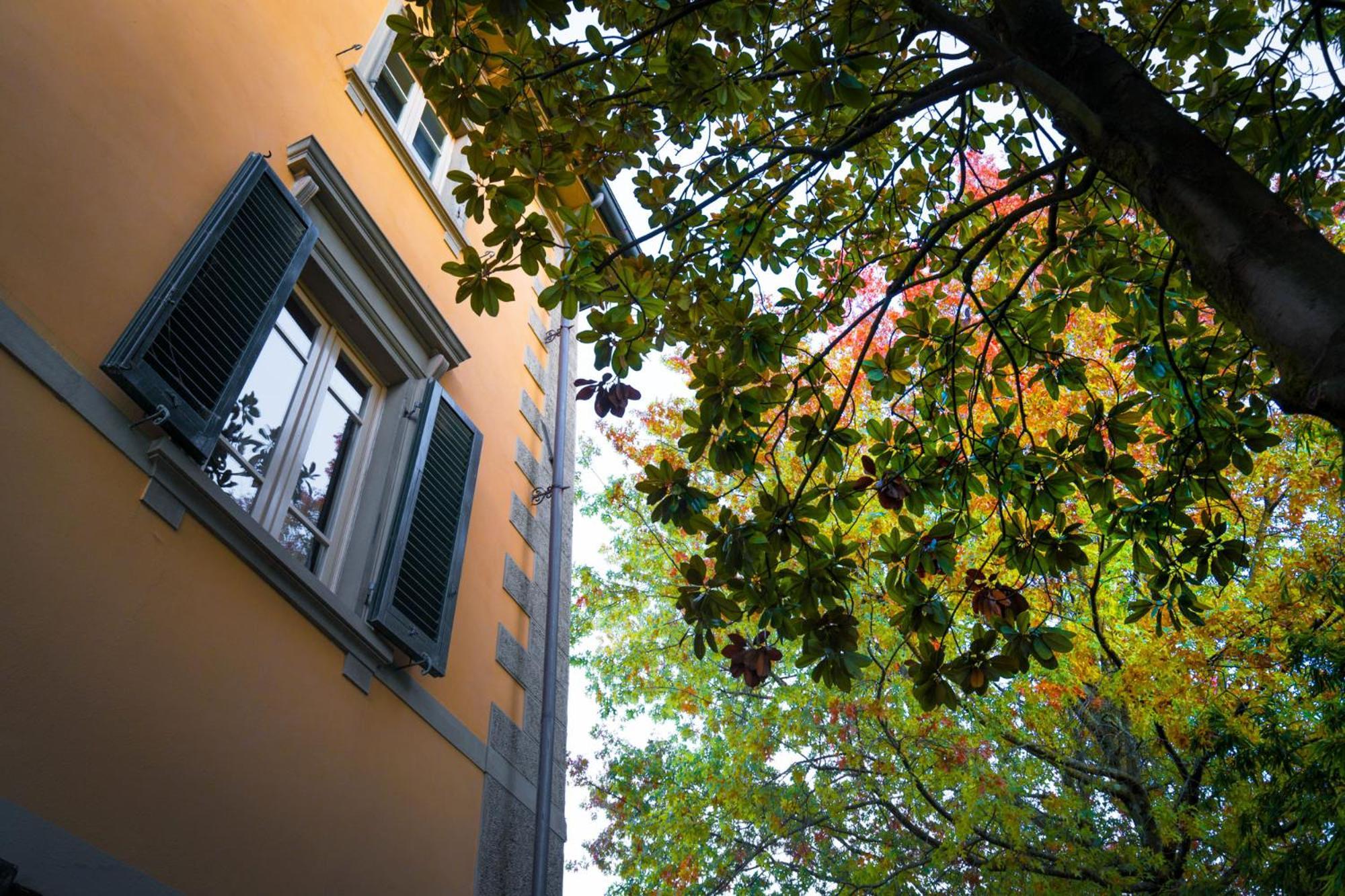 Villa Ines Charme Near Lucca Altopascio Luaran gambar